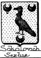 Sokolovich Coat of Arms / Family Crest 1
