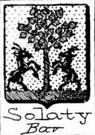 Solaty Coat of Arms / Family Crest 0