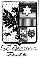Solckema Coat of Arms / Family Crest 0
