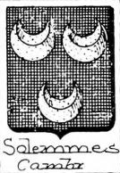 Solemmes Coat of Arms / Family Crest 0