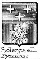 Soleysel Coat of Arms / Family Crest 0