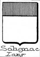 Solignac Coat of Arms / Family Crest 0