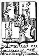 Soll Coat of Arms / Family Crest 6