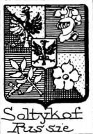 Soltykof Coat of Arms / Family Crest 0
