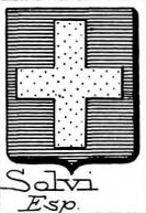 Solvi Coat of Arms / Family Crest 0