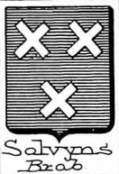 Solvyns Coat of Arms / Family Crest 0