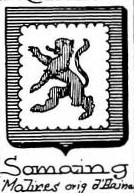 Somaing Coat of Arms / Family Crest 0