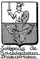 Soterius Coat of Arms / Family Crest 1