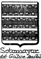 Sotomayor Coat of Arms / Family Crest 1