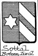 Sottil Coat of Arms / Family Crest 0