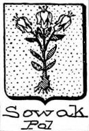Sowak Coat of Arms / Family Crest 0