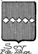 Soy Coat of Arms / Family Crest 0