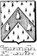 Spiringh Coat of Arms / Family Crest 0