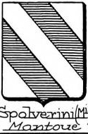 Spolverini Coat of Arms / Family Crest 0