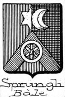 Sprungli Coat of Arms / Family Crest 1