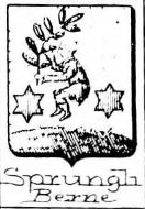 Sprungli Coat of Arms / Family Crest 2