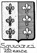 Squarzi Coat of Arms / Family Crest 0