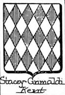 Stacey Coat of Arms / Family Crest 0