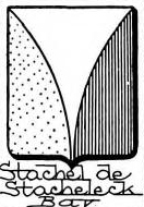 Stachel Coat of Arms / Family Crest 0