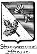 Staegemann Coat of Arms / Family Crest 0