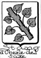 Stang Coat of Arms / Family Crest 5