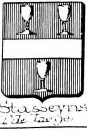Stasseyns Coat of Arms / Family Crest 0