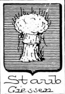 Staub Coat of Arms / Family Crest 0