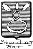 Stauding Coat of Arms / Family Crest 2