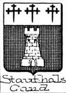 Stauthals Coat of Arms / Family Crest 0