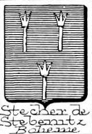Stecher Coat of Arms / Family Crest 3