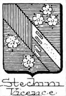 Stechini Coat of Arms / Family Crest 0