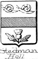 Stedman