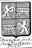 Steeger Coat of Arms / Family Crest 0