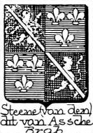 Steene Coat of Arms / Family Crest 6