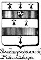 Steenhuyse Coat of Arms / Family Crest 1