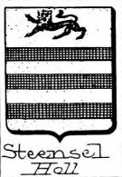 Steensel Coat of Arms / Family Crest 0