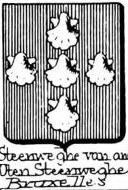 Steenweghe Coat of Arms / Family Crest 0