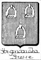 Stegmanski Coat of Arms / Family Crest 0