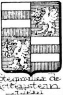 Stegmuller Coat of Arms / Family Crest 0