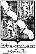 Stegner Coat of Arms / Family Crest 0