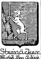 Steinacker Coat of Arms / Family Crest 3