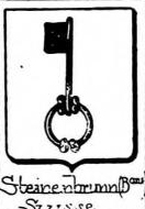 Steinenbrunn Coat of Arms / Family Crest 0