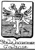 Stelzhammer Coat of Arms / Family Crest 0