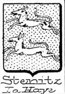 Stenitz Coat of Arms / Family Crest 0