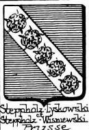 Steppholz Coat of Arms / Family Crest 0