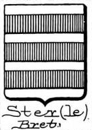 Ster Coat of Arms / Family Crest 0