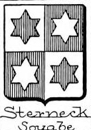 sterneck Coat of Arms / Family Crest 3