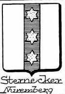 Sternecker Coat of Arms / Family Crest 1