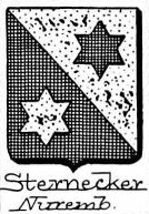 Sternecker Coat of Arms / Family Crest 2