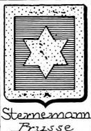 Sternemann Coat of Arms / Family Crest 0